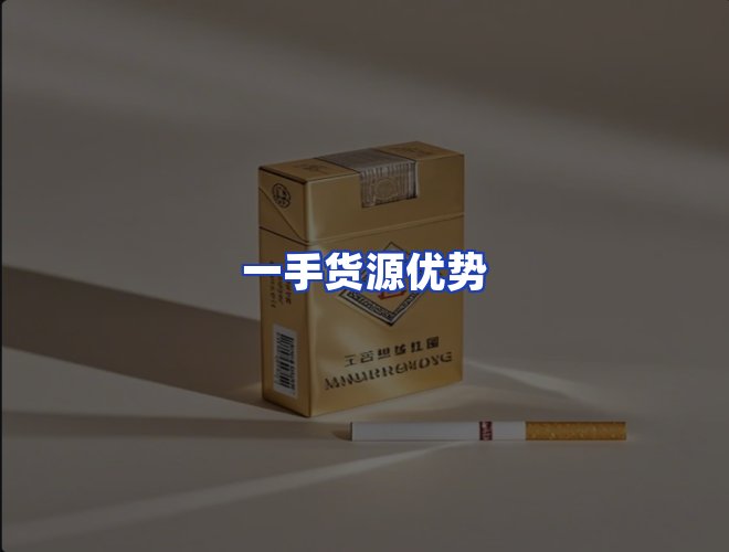 专业团队